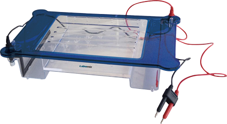 Horizontal Electrophoresis Unit MHEU-1C