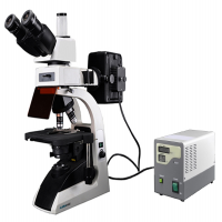 Fluorescence Biological Microscope MFBM-2A