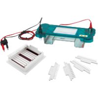 Horizontal Electrophoresis Unit MHEU-2B