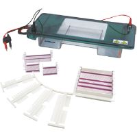 Horizontal Electrophoresis Unit MHEU-2D